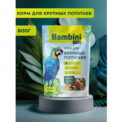 Bambini Pets    