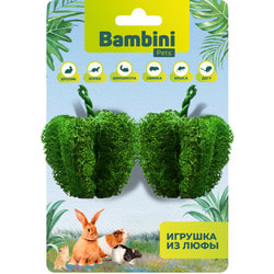 Bambini Pets      