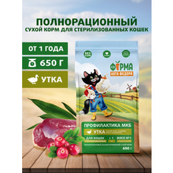 ����� ���� ����� ���� Ը���� ��� �������� ��������������� ����� � �����