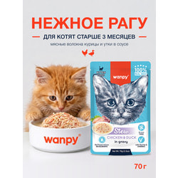 Wanpy Cat �������������� ���������������� ���� ���� ��� ����� ������ ���� �� ������ � ����