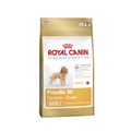 Royal Canin     10  - Poodle Adult