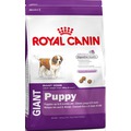 Royal Canin Корм для щенков гигантских пород от 2 до 8 месяцев - Giant Puppy