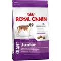 Royal Canin Корм для щенков гигантских пород от 8 до 18 месяцев - Giant Junior