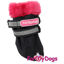 ForMyDogs C   -   