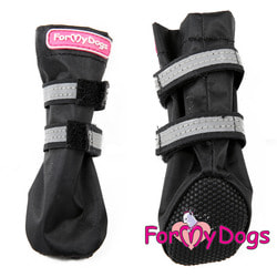 ForMyDogs        ,  