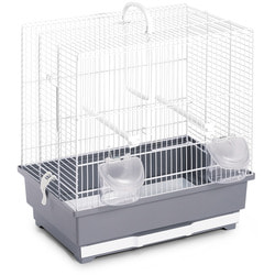 My Pets Solutions    ALFA