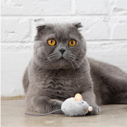 Petstages Игрушка для кошек Мышка со звуком с кошачьей мятой