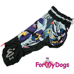 ForMyDogs    -  