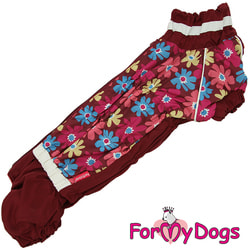 ForMyDogs       
