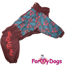 ForMyDogs       