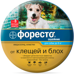 Bayer           