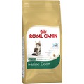 Royal Canin Корм для котят породы Мейн кун - Kitten Maine Coon 36