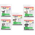 Rolf Club  3D    ,   
