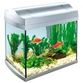 Tetra AquaArt Shrimps Discover Line  