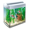 Tetra AquaArt Crayfish Discover Line  